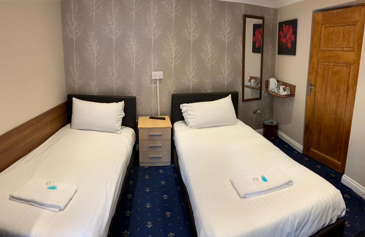 Twin Room 2 Person Single Beds Tgh, Single Beds Twin