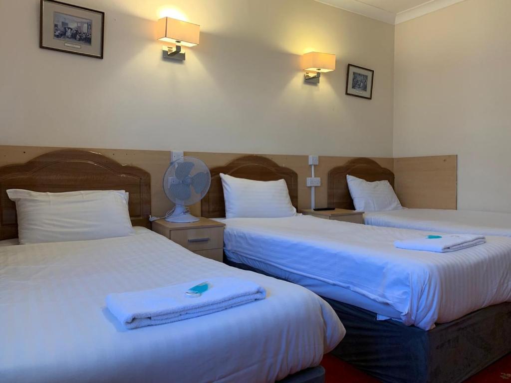 Triple Room ( 3 persons – 3 single beds)